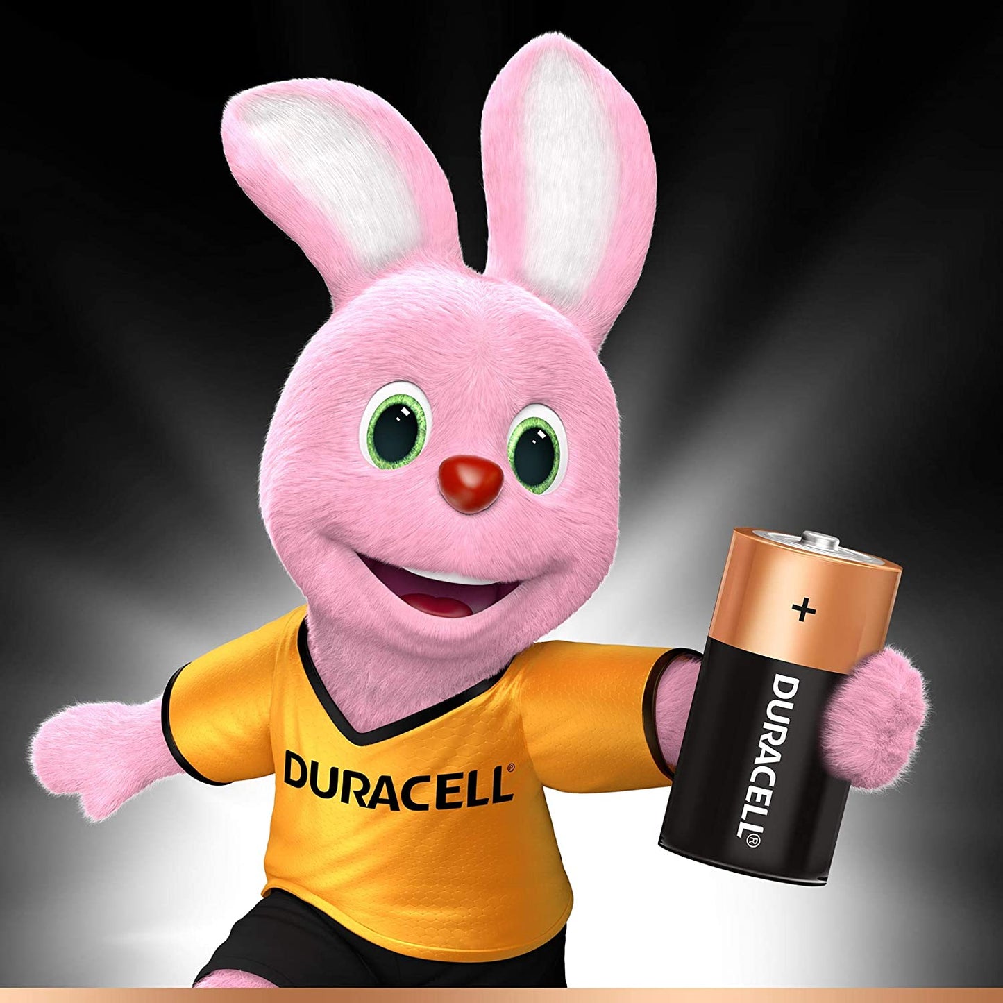 Shop Duracell C batteries (pack of 2) for high-performance and long-lasting energy. Best deals available online.